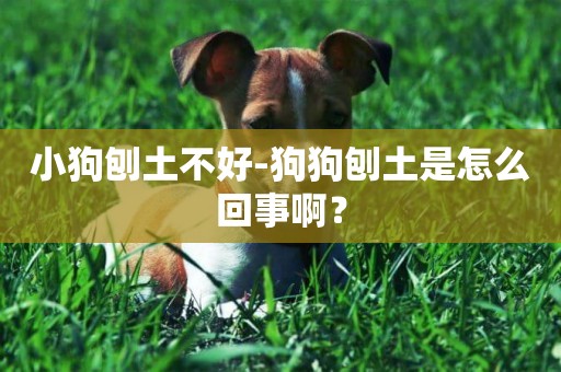 小狗刨土不好-狗狗刨土是怎么回事啊？