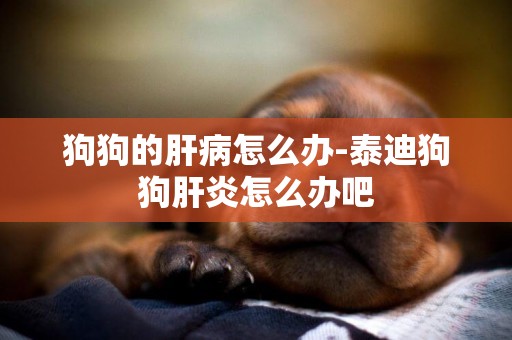 狗狗的肝病怎么辦-泰迪狗狗肝炎怎么辦吧