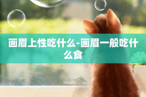 畫眉上性吃什么-畫眉一般吃什么食