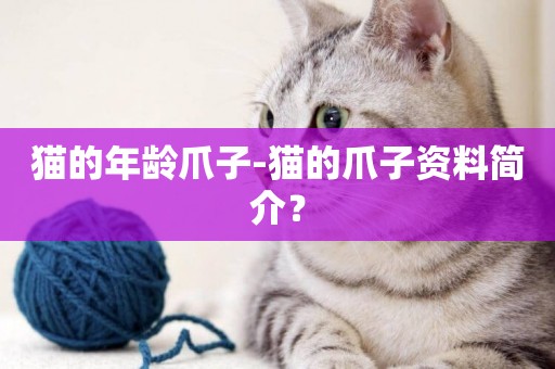 貓的年齡爪子-貓的爪子資料簡介？