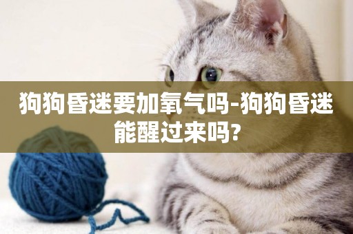 狗狗昏迷要加氧氣嗎-狗狗昏迷能醒過來嗎?