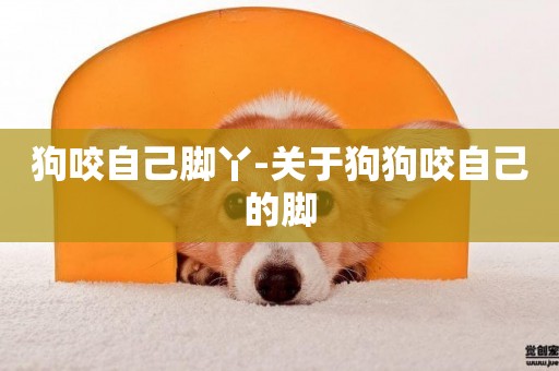 狗咬自己腳丫-關于狗狗咬自己的腳