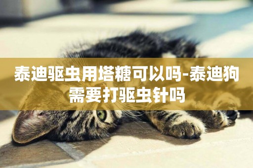 泰迪驅蟲用塔糖可以嗎-泰迪狗需要打驅蟲針嗎