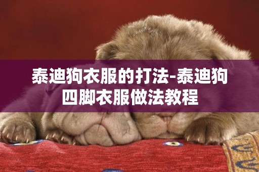 泰迪狗衣服的打法-泰迪狗四腳衣服做法教程