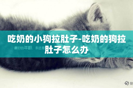 吃奶的小狗拉肚子-吃奶的狗拉肚子怎么辦