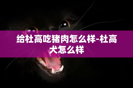 給杜高吃豬肉怎么樣-杜高犬怎么樣