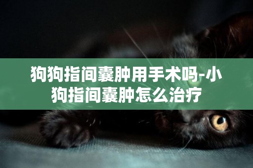 狗狗指間囊腫用手術嗎-小狗指間囊腫怎么治療