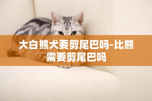 大白熊犬要剪尾巴嗎-比熊需要剪尾巴嗎
