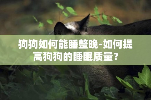 狗狗如何能睡整晚-如何提高狗狗的睡眠質量？