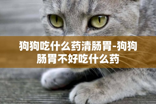 狗狗吃什么藥清腸胃-狗狗腸胃不好吃什么藥