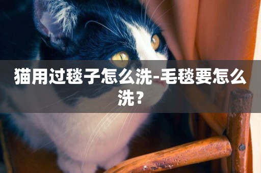 貓用過毯子怎么洗-毛毯要怎么洗？