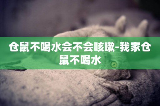 倉鼠不喝水會不會咳嗽-我家倉鼠不喝水