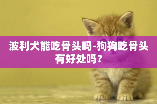 波利犬能吃骨頭嗎-狗狗吃骨頭有好處嗎？