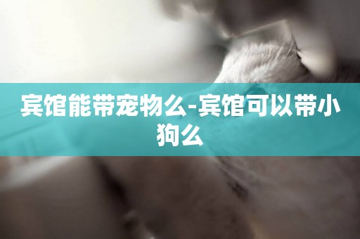 賓館能帶寵物么-賓館可以帶小狗么