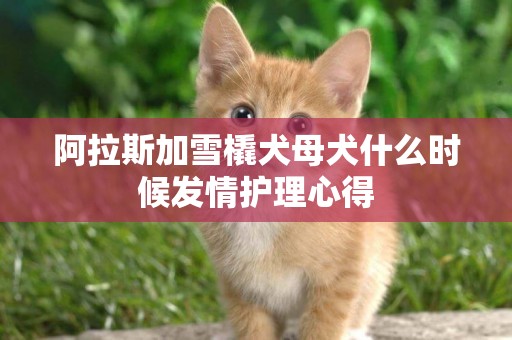 阿拉斯加雪橇犬母犬什么時候發情護理心得
