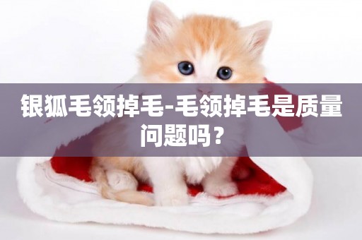 銀狐毛領掉毛-毛領掉毛是質量問題嗎？
