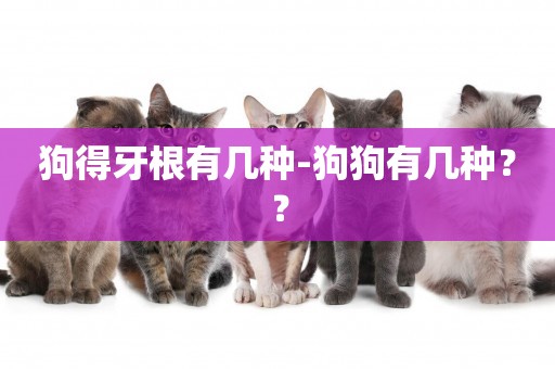 狗得牙根有幾種-狗狗有幾種？？