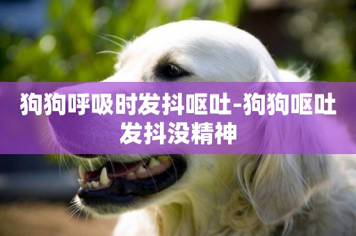 狗狗呼吸時發抖嘔吐-狗狗嘔吐發抖沒精神