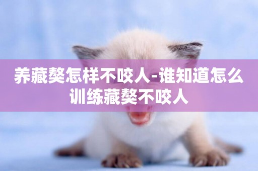 養藏獒怎樣不咬人-誰知道怎么訓練藏獒不咬人