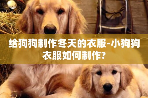 給狗狗制作冬天的衣服-小狗狗衣服如何制作?
