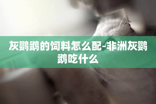 灰鸚鵡的飼料怎么配-非洲灰鸚鵡吃什么