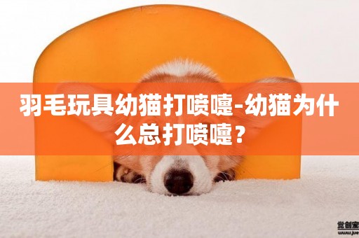 羽毛玩具幼貓打噴嚏-幼貓為什么總打噴嚏？