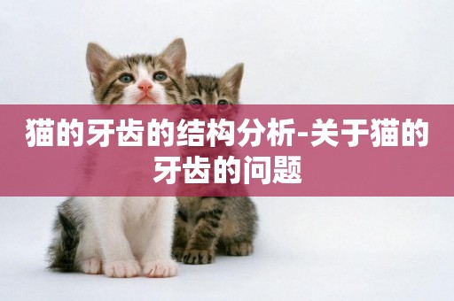 貓的牙齒的結構分析-關于貓的牙齒的問題