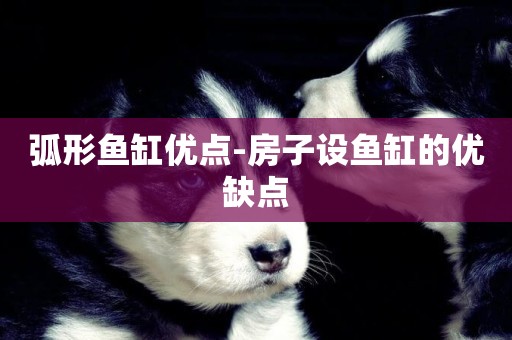 弧形魚缸優點-房子設魚缸的優缺點