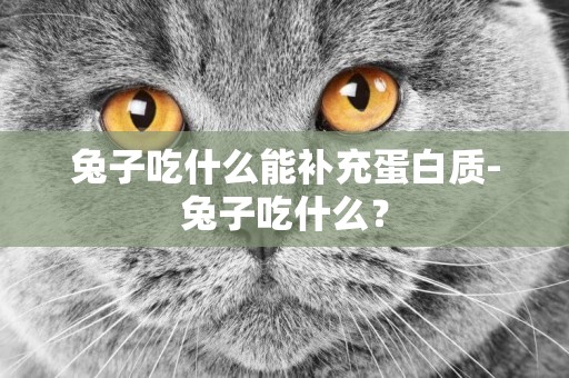 兔子吃什么能補充蛋白質-兔子吃什么？