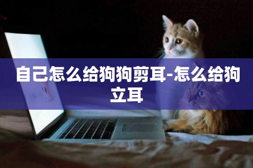 自己怎么給狗狗剪耳-怎么給狗立耳