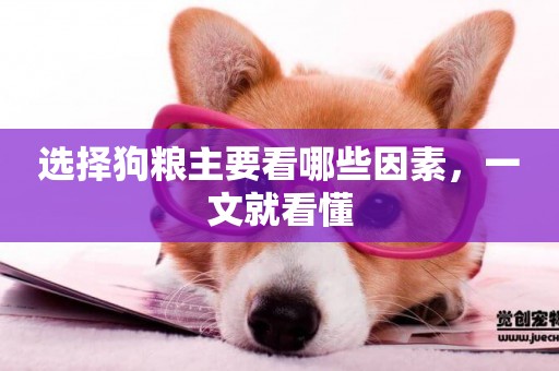 選擇狗糧主要看哪些因素，一文就看懂