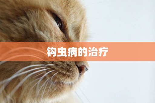 鉤蟲病的治療