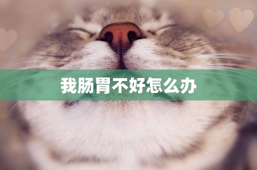 我腸胃不好怎么辦