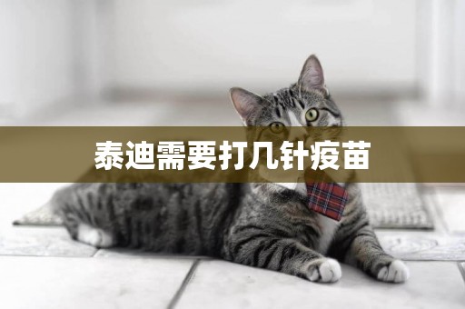 泰迪需要打幾針疫苗