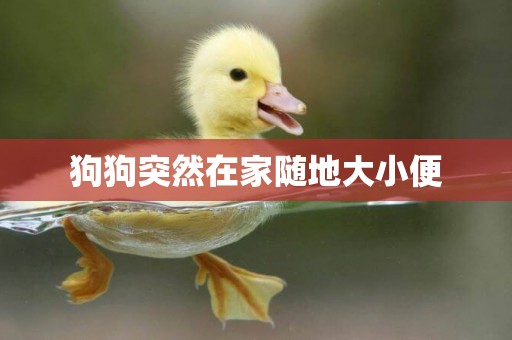 狗狗突然在家隨地大小便
