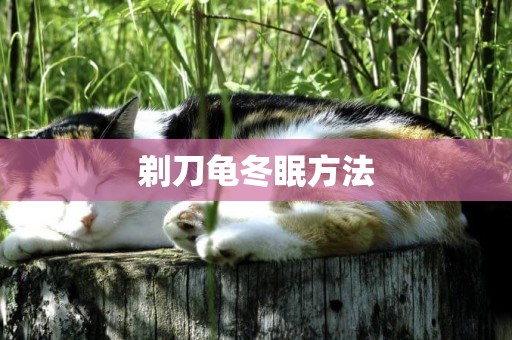 剃刀龜冬眠方法