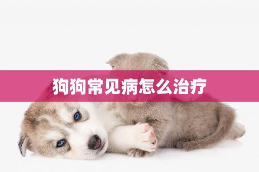 狗狗常見病怎么治療