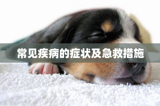 常見疾病的癥狀及急救措施