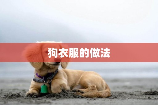 狗衣服的做法