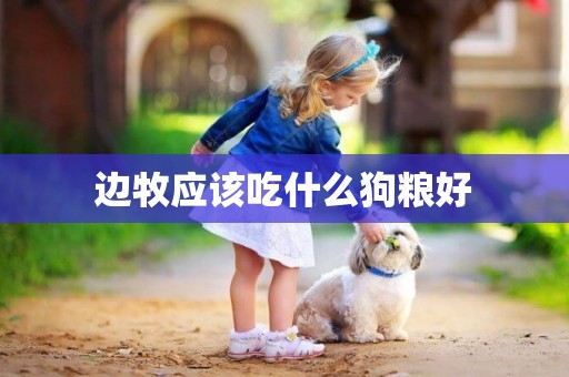 邊牧應該吃什么狗糧好