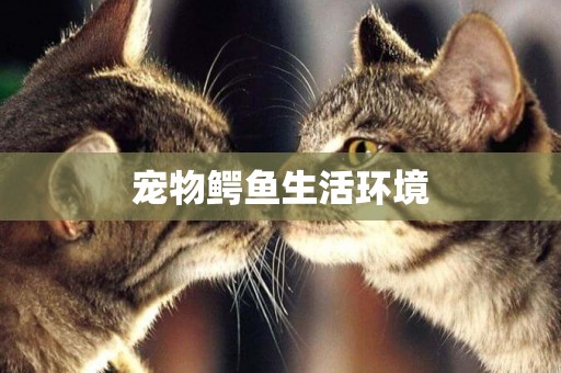寵物鱷魚生活環境