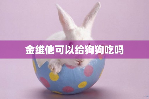 金維他可以給狗狗吃嗎