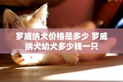 羅威納犬價格是多少 羅威納犬幼犬多少錢一只