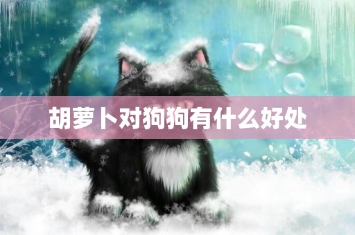 胡蘿卜對狗狗有什么好處