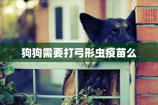 狗狗需要打弓形蟲疫苗么