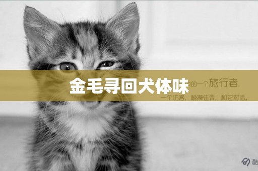 金毛尋回犬體味