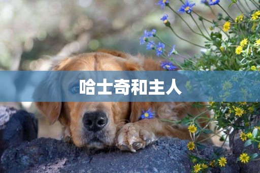 哈士奇和主人