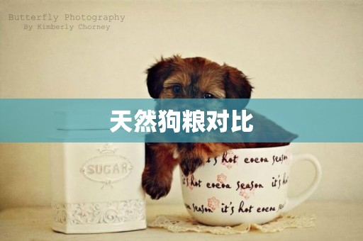 天然狗糧對比