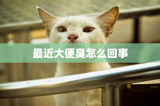 最近大便臭怎么回事
