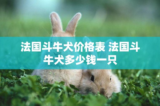 法國斗牛犬價格表 法國斗牛犬多少錢一只